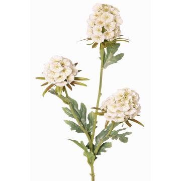 Branche artificielle d'œillet barbu STERMYN, crème, 75 cm, Ø 6,5-8,5 cm Branche artificielle d'œillet barbu STERMYN, crème, 75 cm, Ø 6,5-8,5 cm