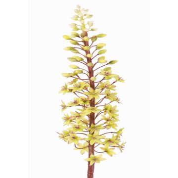 Fleur artificielle « lys à crête » ZERFIM, verte, 90 cm
