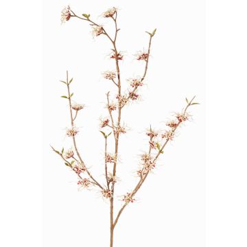 Branche artificielle d'hamamélis XYLA, fleurs, rouge crème, 120 cm, Ø 5 cm Branche artificielle d'hamamélis XYLA, fleurs, rouge crème, 120 cm, Ø 5 cm