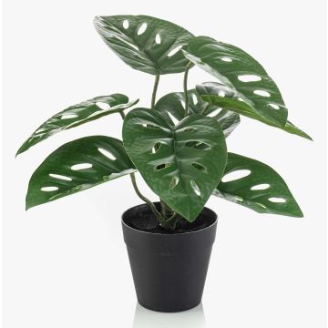 Plante artificielle Philodendron monstera adansonii PRUMEX, pot décoratif, 28 cm Plante artificielle Philodendron monstera adansonii PRUMEX, pot décoratif, 28 cm