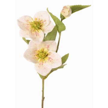 Branche artificielle de rose de Noël SUNMYN, crème, 55 cm, Ø 8-10 cm Branche artificielle de rose de Noël SUNMYN, crème, 55 cm, Ø 8-10 cm