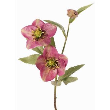Branche artificielle de rose de Noël SUNMYN, mauve, 55 cm, Ø 8-10 cm Branche artificielle de rose de Noël SUNMYN, mauve, 55 cm, Ø 8-10 cm