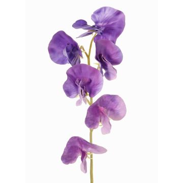 Fleur artificielle Lathyrus WAHNY, violette, 45 cm, Ø 5,5 cm Fleur artificielle Lathyrus WAHNY, violette, 45 cm, Ø 5,5 cm