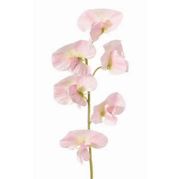 Fleur artificielle Lathyrus WAHNY, rose clair-vert-blanc, 45 cm, Ø 5,5 cm Fleur artificielle Lathyrus WAHNY, rose clair-vert-blanc, 45 cm, Ø 5,5 cm