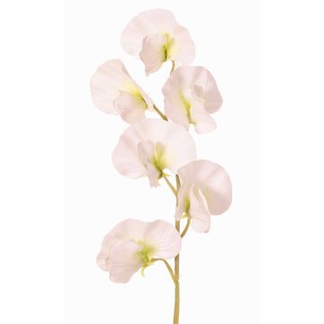 Fleur artificielle Lathyrus WAHNY, blanc-vert, 45 cm, Ø 5,5 cm Fleur artificielle Lathyrus WAHNY, blanc-vert, 45 cm, Ø 5,5 cm