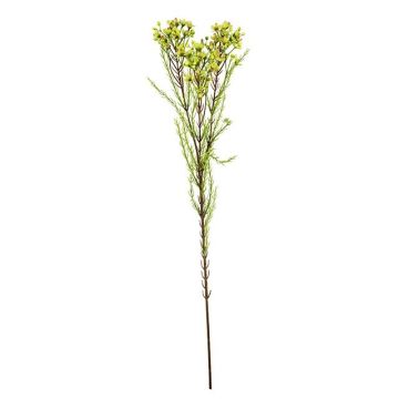 artificiel branche Fleur de cire MEDEA, vert-rose vif, 80cm, Ø6cm artificiel branche Fleur de cire MEDEA, vert-rose vif, 80cm, Ø6cm