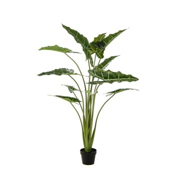 Plante artificielle Alocasia Sanderiana MUNAY en pot décoratif, vert, 140cm Plante artificielle Alocasia Sanderiana MUNAY en pot décoratif, vert, 140cm