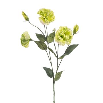 Fleur artificielle Lisianthus RENARA, vert clair, 75cm