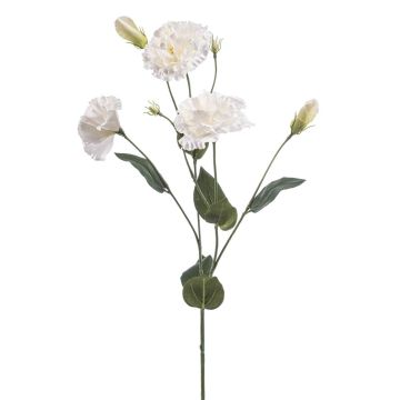 Fleur artificielle Lisianthus RENARA, blanc, 75cm