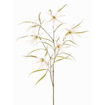 Branche décorative de l'asclépiade TYZANS, blanc-vert, 95 cm