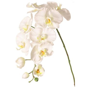 Branche décorative d'orchidée Phalaenopsis WESA, blanche, 90 cm, Ø 11-12,5 cm Branche décorative d'orchidée Phalaenopsis WESA, blanche, 90 cm, Ø 11-12,5 cm