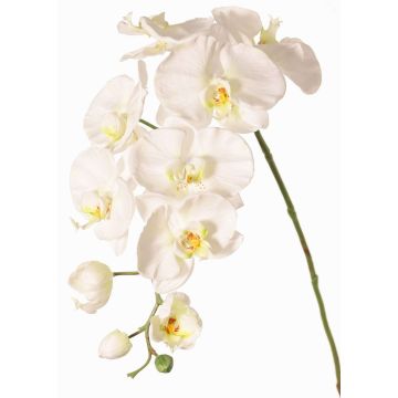 Branche décorative d'orchidée Phalaenopsis WESA, blanche, 90 cm, Ø 11-12,5 cm Branche décorative d'orchidée Phalaenopsis WESA, blanche, 90 cm, Ø 11-12,5 cm