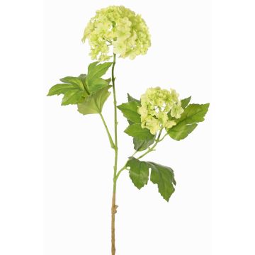 Branche artificielle de viorne FINDALS, vert clair, 60cm, Ø6-9cm Branche artificielle de viorne FINDALS, vert clair, 60cm, Ø6-9cm