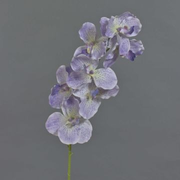 Tige d'orchidée Vanda artificielle LODON, lilas clair-blanc, 75cm Tige d'orchidée Vanda artificielle LODON, lilas clair-blanc, 75cm