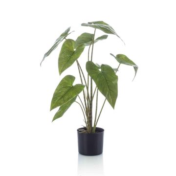 Plante artificielle Alocasia Zebrina LEFKA avec des racines, vert, 75cm