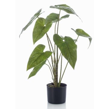 Plante artificielle Alocasia Zebrina LEFKA avec des racines, vert, 75cm