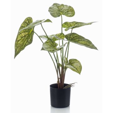 Caladium artificiel YAWAR avec des racines, vert-jaune, 60cm Caladium artificiel YAWAR avec des racines, vert-jaune, 60cm