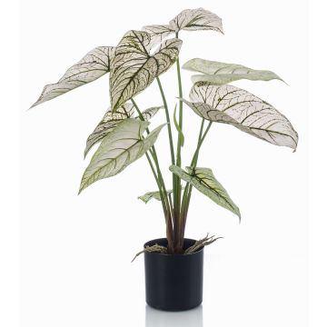 Caladium artificiel YAWAR avec des racines, vert-blanc, 60cm Caladium artificiel YAWAR avec des racines, vert-blanc, 60cm