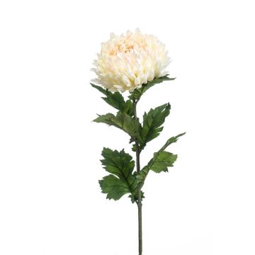 Fleur artificielle Chrysanthème LAZO, crème-rose, 75cm Fleur artificielle Chrysanthème LAZO, crème-rose, 75cm