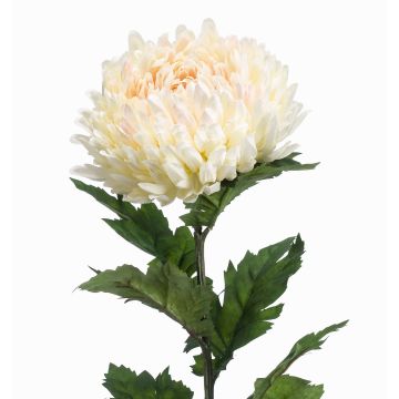Fleur artificielle Chrysanthème LAZO, crème-rose, 75cm Fleur artificielle Chrysanthème LAZO, crème-rose, 75cm
