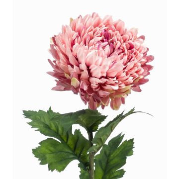 Fleur artificielle Chrysanthème LAZO, vieux rose, 75cm Fleur artificielle Chrysanthème LAZO, vieux rose, 75cm
