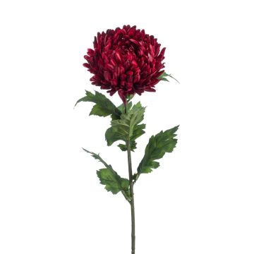 Fleur artificielle Chrysanthème LAZO, rouge foncé, 75cm Fleur artificielle Chrysanthème LAZO, rouge foncé, 75cm