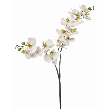 Tige d'orchidée Phalaenopsis artificielle WANTA, blanc, 100cm