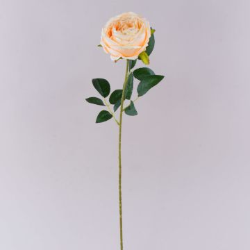 Fleur artificielle Rose CHERLEN, abricot, 60cm, Ø10cm