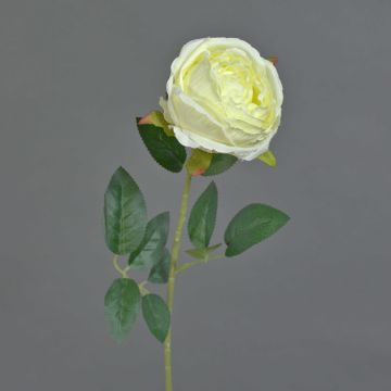Fleur artificielle Rose CHERLEN, blanc, 60cm, Ø10cm