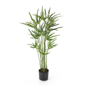 Cyperus papyrus en plastique HAMADI, vert, 80cm