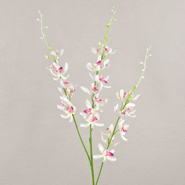 Tige d'orchidée Cymbidium artificielle MONDEGO, blanc-fuchsia, 95cm Tige d'orchidée Cymbidium artificielle MONDEGO, blanc-fuchsia, 95cm