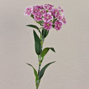 Fausse fleur Œillet de poète SUSILAWA, violet-blanc, 55cm
