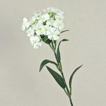 Fausse fleur Œillet de poète SUSILAWA, blanc-crème, 55cm