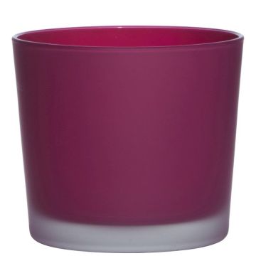 Pot à plantes en verre ALENA FROST, magenta mat, 12,5cm, Ø14,5cm Pot à plantes en verre ALENA FROST, magenta mat, 12,5cm, Ø14,5cm