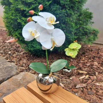 Fleur artificielle Orchidée Phalaenopsis NAPIRAI, cache-pot, blanc, 30cm