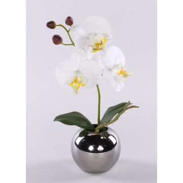 Fleur artificielle Orchidée Phalaenopsis NAPIRAI, cache-pot, blanc, 30cm Fleur artificielle Orchidée Phalaenopsis NAPIRAI, cache-pot, blanc, 30cm