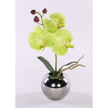 Fleur artificielle Orchidée Phalaenopsis NAPIRAI, cache-pot, crème-vert, 30cm Fleur artificielle Orchidée Phalaenopsis NAPIRAI, cache-pot, crème-vert, 30cm