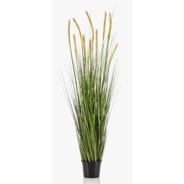 Graminée artificielle vulpin ANAELLA avec panicules, vert, 150cm