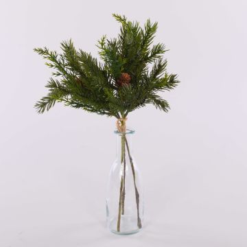 Botte de cryptomeria décorative KIGANJA avec des pommes de pin, vert, 35cm