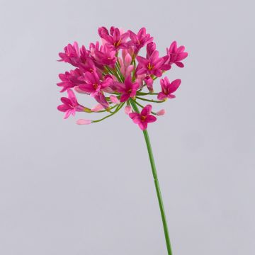 Fleur en plastique Agapanthus OMOLON, rose, 75cm Fleur en plastique Agapanthus OMOLON, rose, 75cm