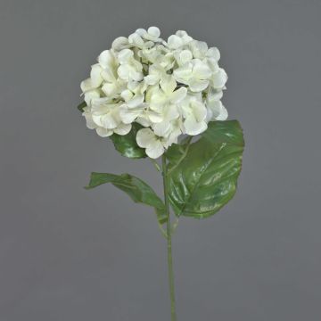 Hortensia en soie MONA, crème, 70cm, Ø16cm