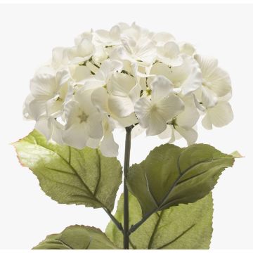 Hortensia en soie MONA, crème, 70cm, Ø16cm Hortensia en soie MONA, crème, 70cm, Ø16cm