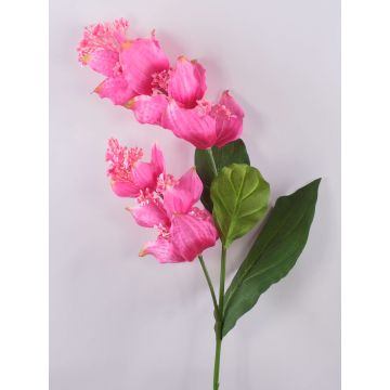Branche de fleurs artificielles Medinilla LASENTER, rose, 110cm Branche de fleurs artificielles Medinilla LASENTER, rose, 110cm