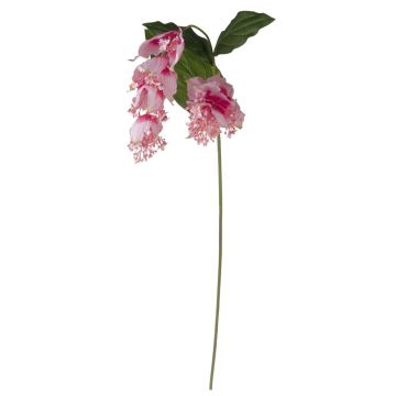 Branche de fleurs artificielles Medinilla LASENTER, rose, 140cm Branche de fleurs artificielles Medinilla LASENTER, rose, 140cm