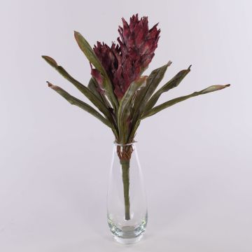 Guzmania en velours WALFRIEDE sur piquet, rouge bourgogne, 50cm Guzmania en velours WALFRIEDE sur piquet, rouge bourgogne, 50cm