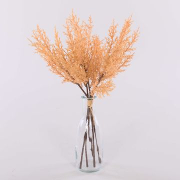 Botte d'asparagus sprengeri artificielle RUBIOLTA, abricot, 35cm Botte d'asparagus sprengeri artificielle RUBIOLTA, abricot, 35cm