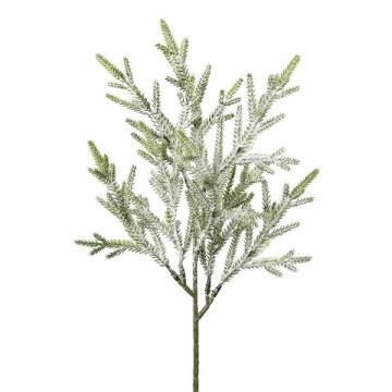 Branche décorative Sapin FILTRES, enneigé, blanc, 40cm