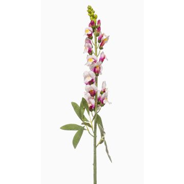 Fleur artificielle « gueule-de-loup » LIMORG, crème-rose, 80 cm Fleur artificielle « gueule-de-loup » LIMORG, crème-rose, 80 cm