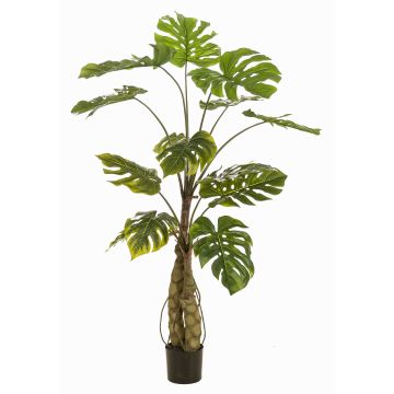 Plante artificielle Philodendron monstera deliciosa KORVEX, racines aériennes, 150 cm Plante artificielle Philodendron monstera deliciosa KORVEX, racines aériennes, 150 cm