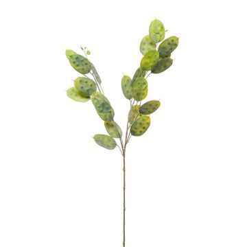 Branche de lunaire artificielle JUDITHA, vert, 70 cm